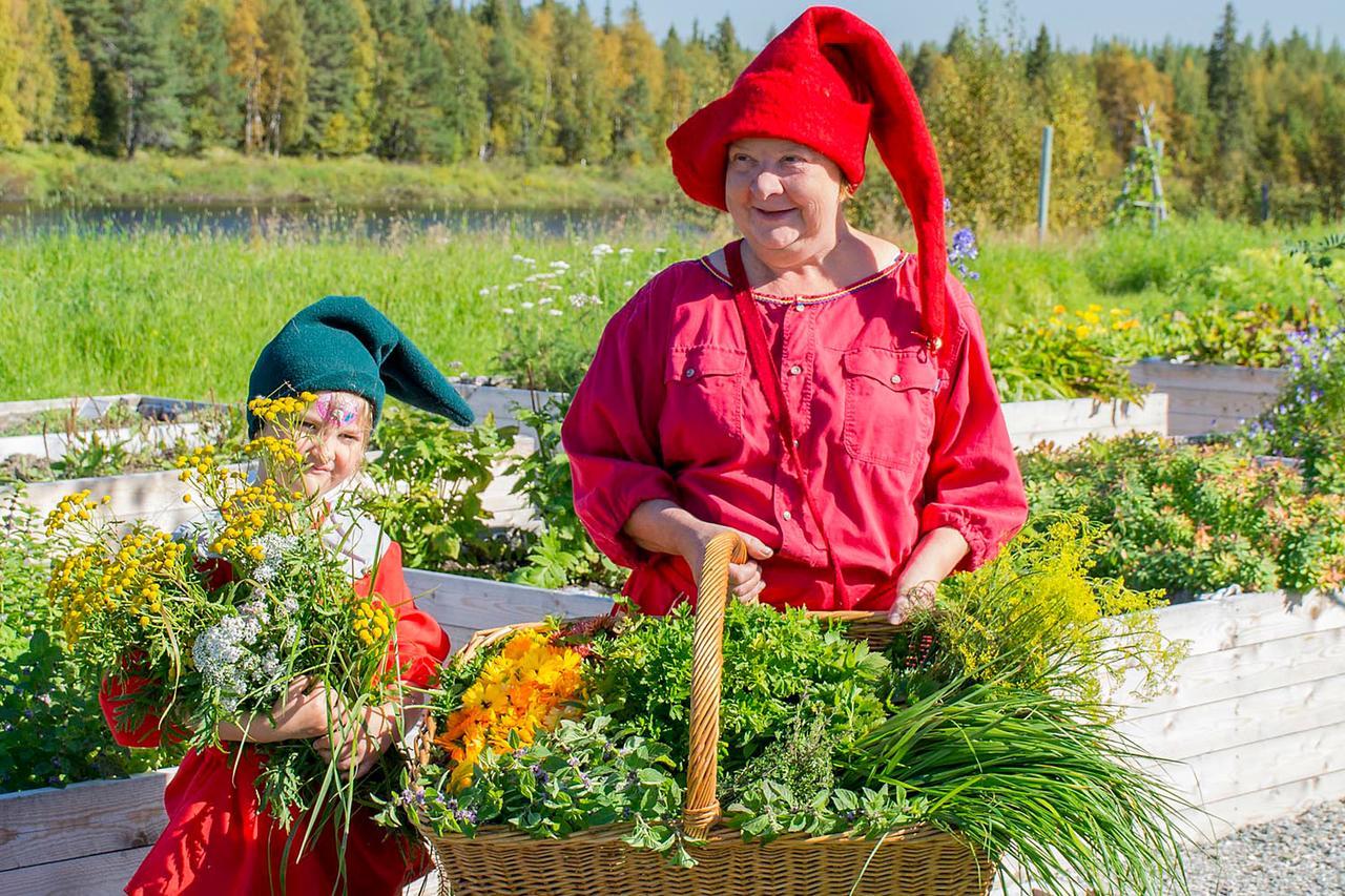 Elves Village Hotel Kongas Екстер'єр фото